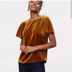 Loft Velvet Tie-Back Blouse